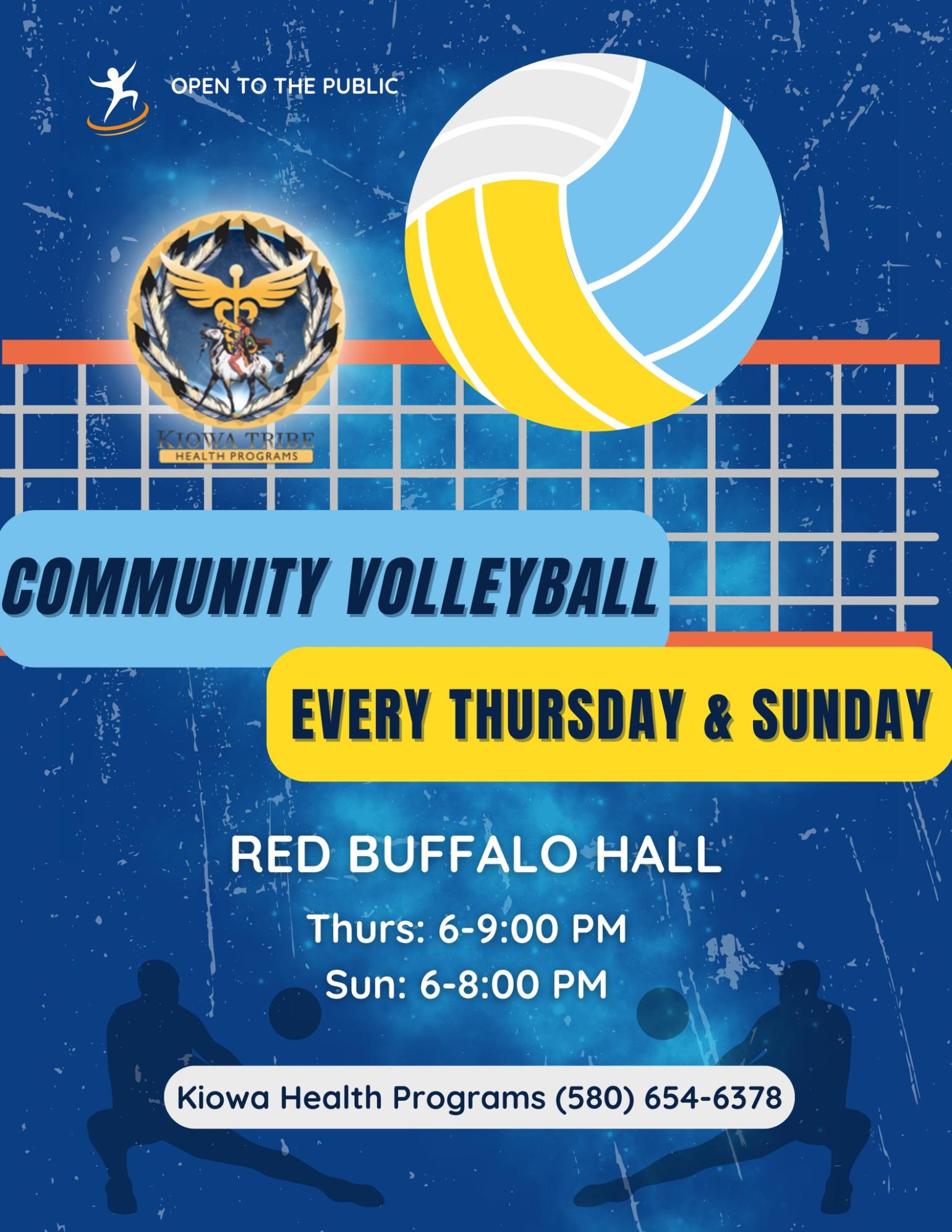 Community Volleyball